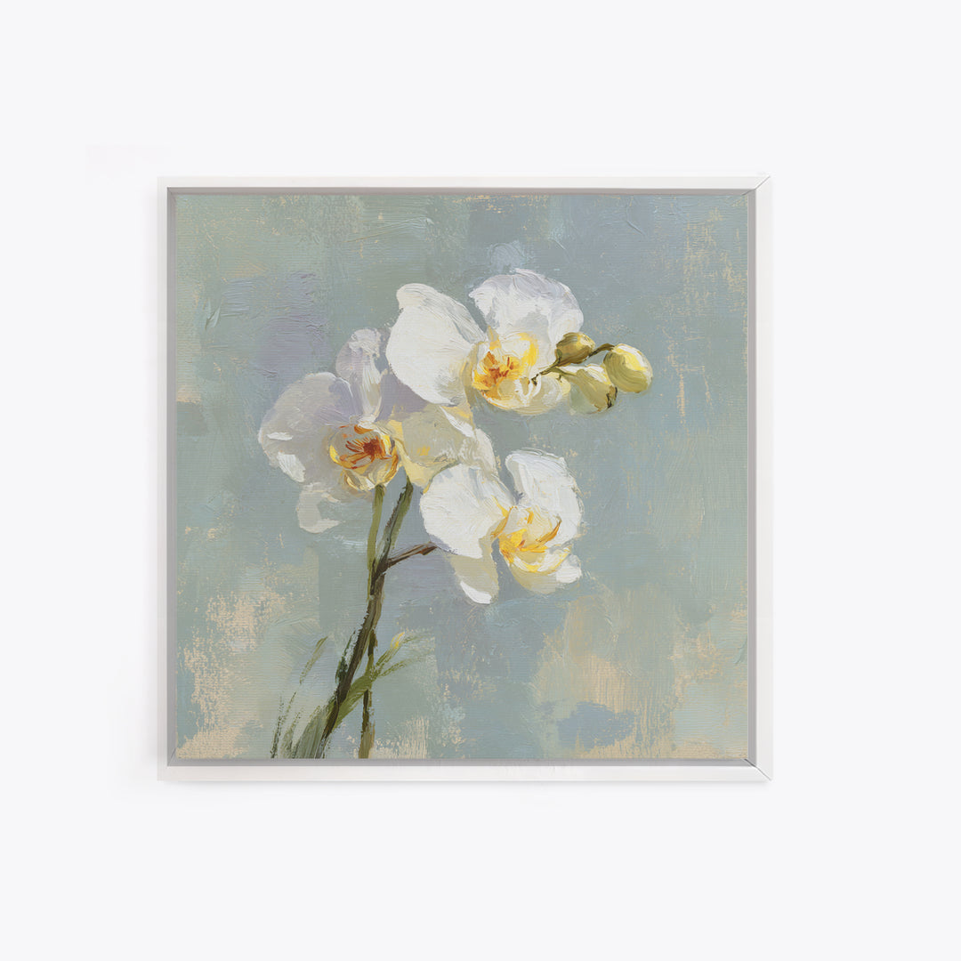 White Orchid on Light Gray Ground Canvas Print, Waiting Room Art, Office Wall Decor, Waiting Room Decor, Fine Art, Calm, WRA-1x1-31