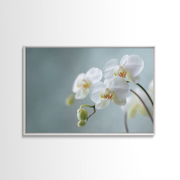 White Orchid on Light Gray Ground Canvas Print, Waiting Room Art, Digital Art Print, Waiting Room Decor, Fine Art, Calm, WRA-3x2-11