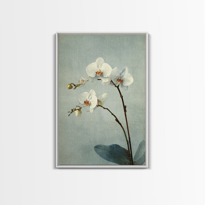 Single Orchid Stem Canvas Print, Zen Art, Art, Living Room Decor, Fine Art, Zen, Garden Art, Japanese Wall Art, Boho Wall Decor, ZEN-2x3-7