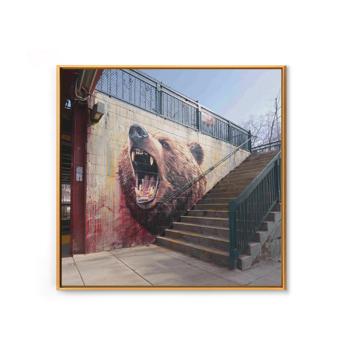 Roaring Bear Urban Stairway Mural Wall Art, Graffiti Canvas Print, Wildlife Decor, Street Art Gift For Animal Lover, Home Decor