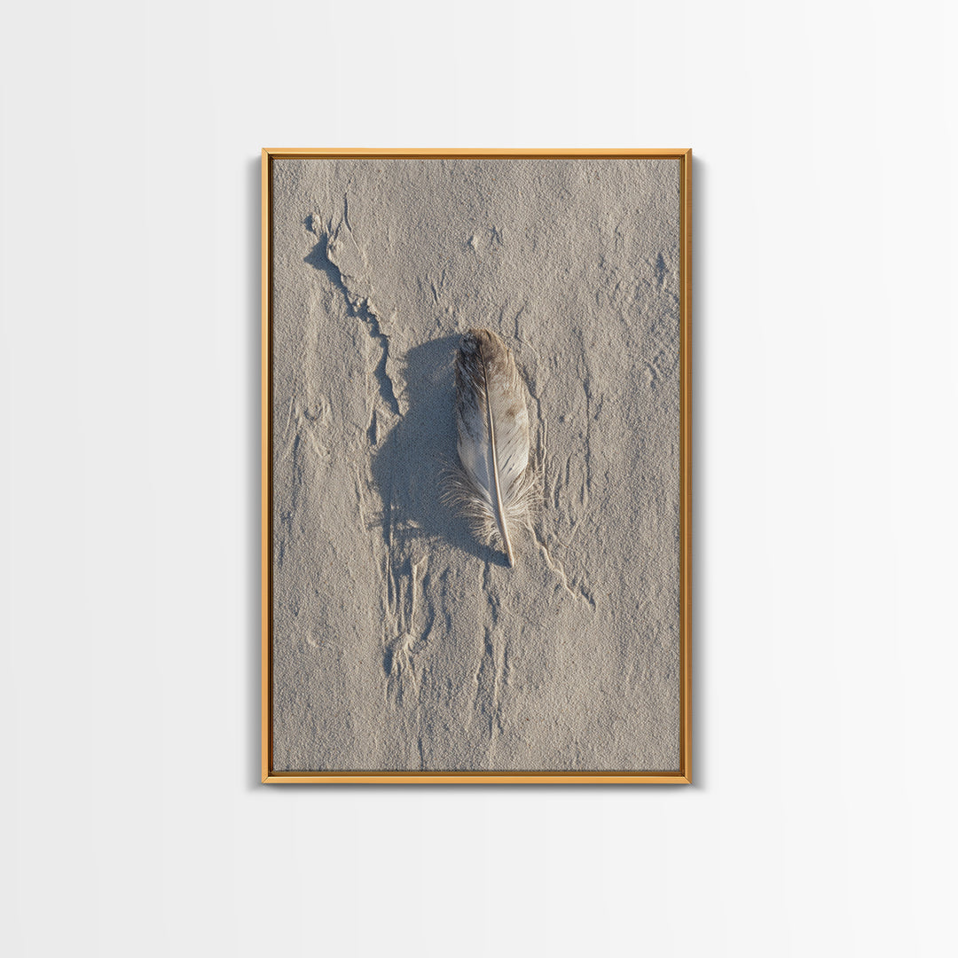 Beach Sand With Single Feather Close Up Minimalist Nature Photography Wall Art Print For Coastal Home Decor Framed Canvas Print
