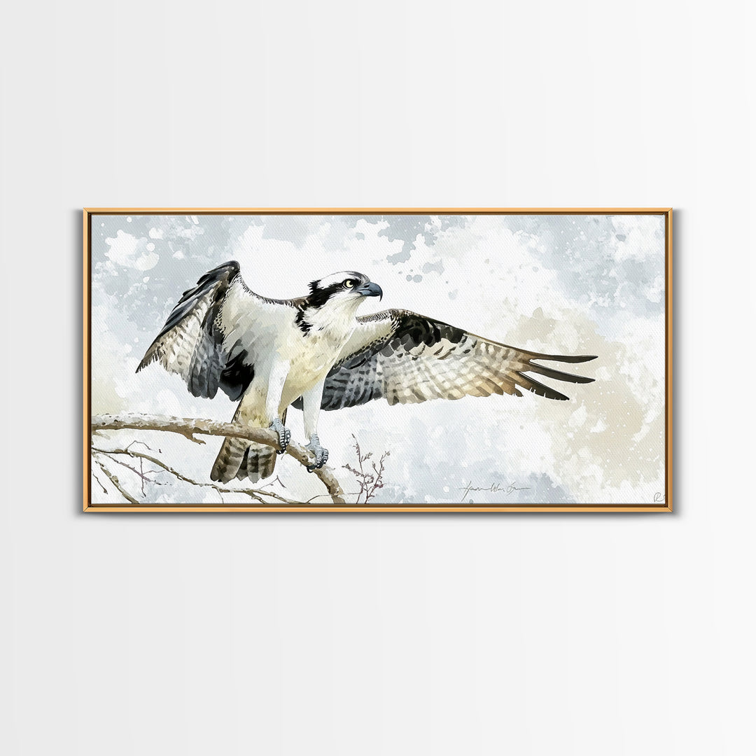 Landing Osprey On Winter Branch Canvas Print, Watercolor Hawk Wall Art, Rustic Nature Decor, Bird Lover Housewarming Gift