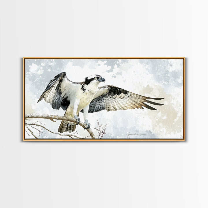 Landing Osprey On Winter Branch Canvas Print, Watercolor Hawk Wall Art, Rustic Nature Decor, Bird Lover Housewarming Gift