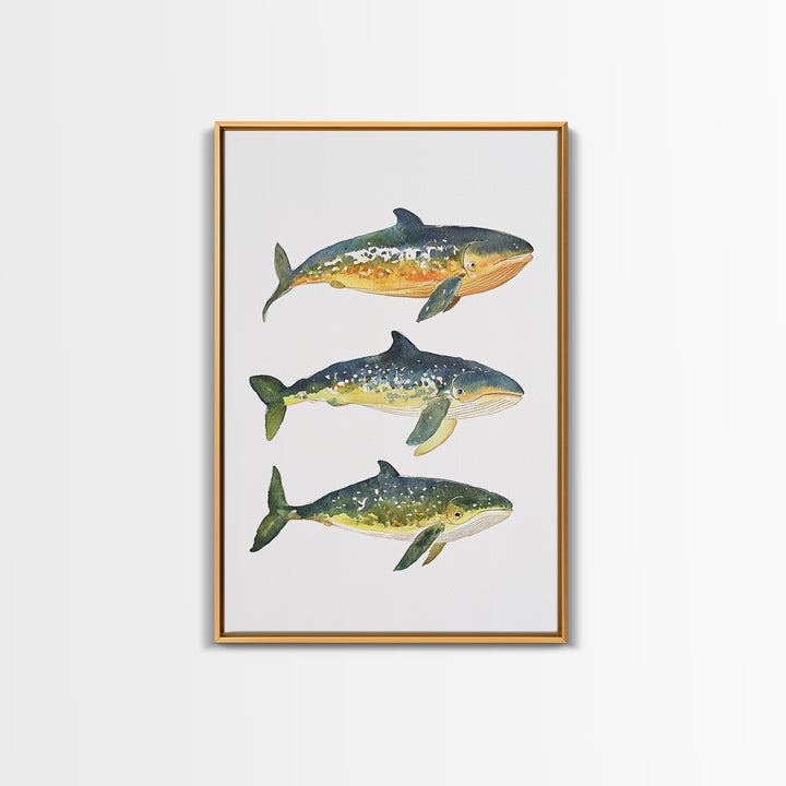Three Colorful Whales Canvas Print, Marine Life Wall Art, Ocean Animal Art Print, Coastal Nursery Decor, Whale Lover Gift