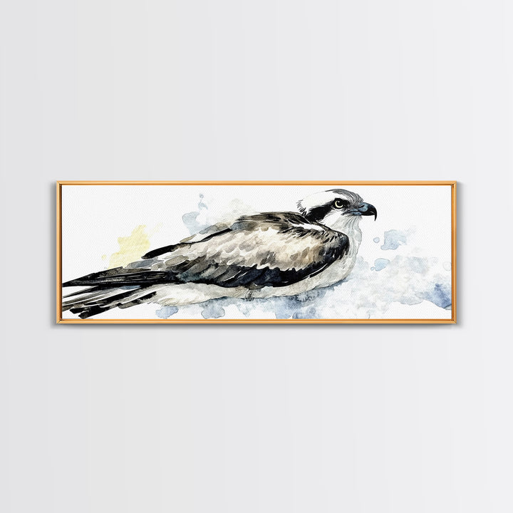 Flying Osprey Watercolor Wall Art, Black And White Bird Canvas Print, Wildlife Fine Art Print, Coastal Nature Decor Gift