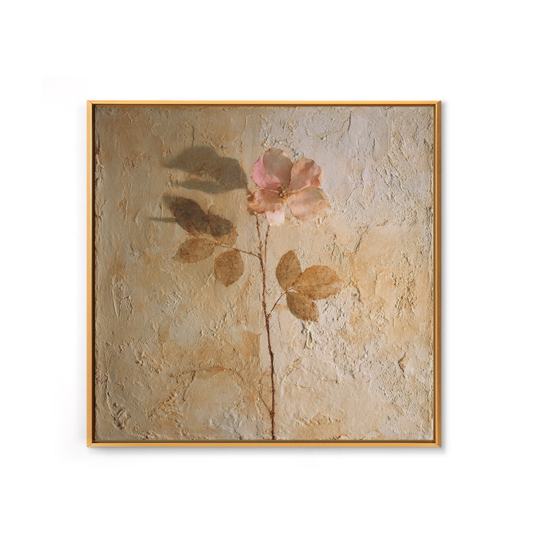 Tonal Botanical Shadows on Plaster Surface Canvas Print, Above Bed Art, Photography Prints, Bedroom Decor, Serenity, ABA-1x1-71