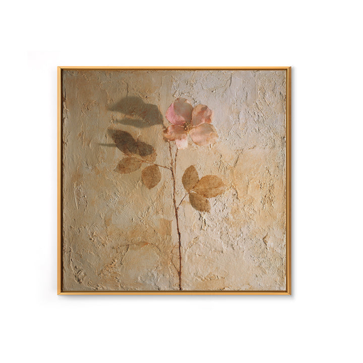 Tonal Botanical Shadows on Plaster Surface Canvas Print, Above Bed Art, Photography Prints, Bedroom Decor, Serenity, ABA-1x1-71