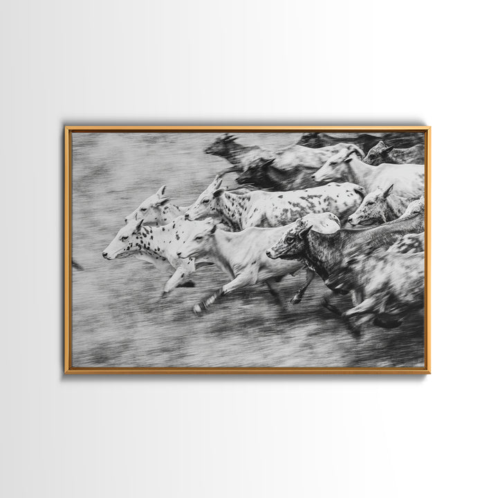 Black And White Running Cattle Wall Art, African Safari Animal Print, Rustic Farmhouse Decor, Western Herd Canvas Artwork