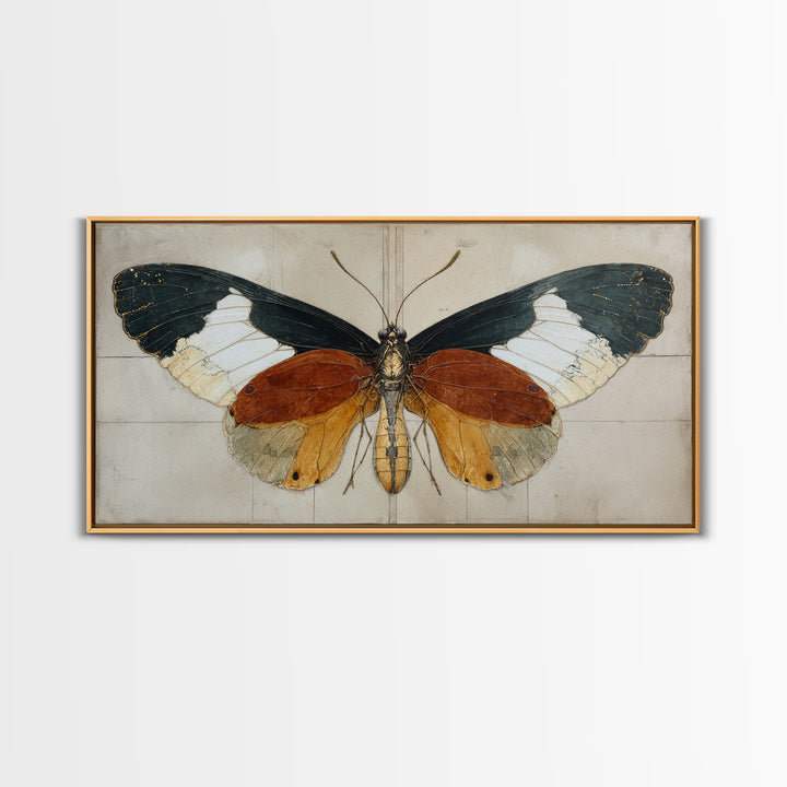 Butterfly Specimen Composition Framed Canvas Print, Animal Art, Digital Art, Living Room Decor, Creature, Farmhouse Decor, ANI-2x1-91