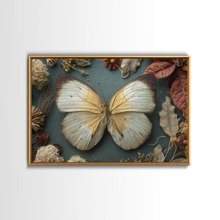 Butterfly Specimen Composition Canvas Print, Animal Art, Nursery Art, Living Room Decor, Fine Art, Creature, Luxury Decor, ANI-3x2-51