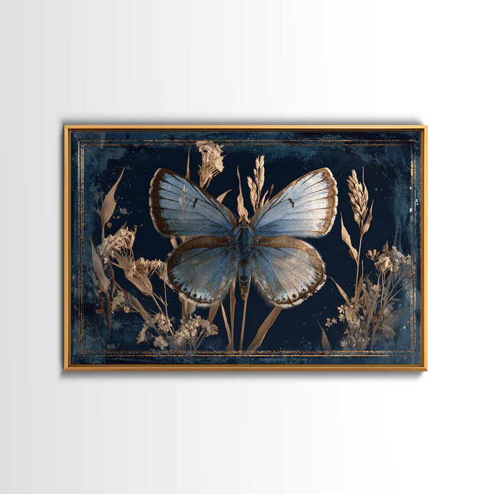 Butterfly Specimen Composition Framed Canvas Print, Animal Art, Minimalist Decor, Living Room Decor, Fine Art, Creature, ANI-3x2-99