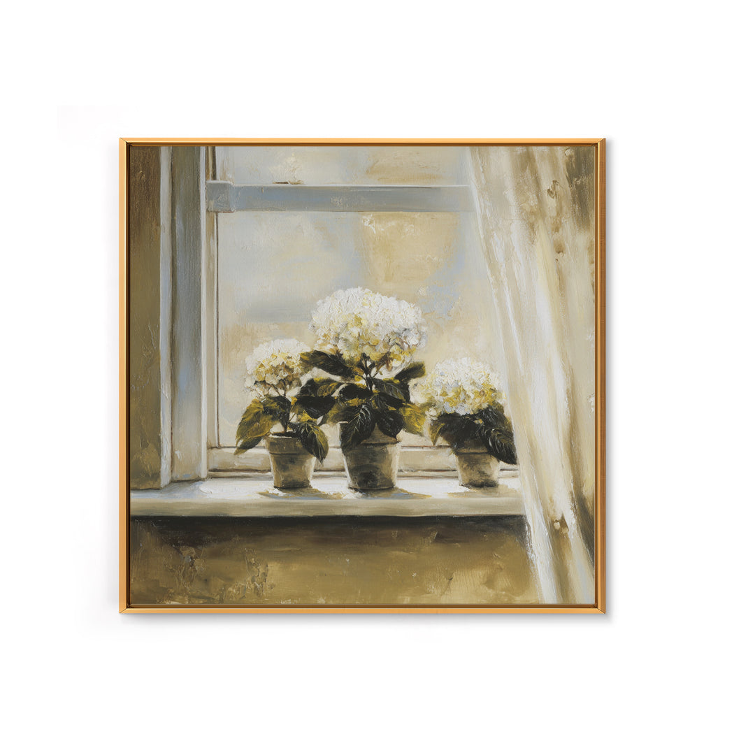 Sunlit Hydrangeas on a Windowsill Canvas Print, Bed and Breakfast Art, Trendy Wall Art, Living Room Decor, Fine Art, BAB-1x1-10