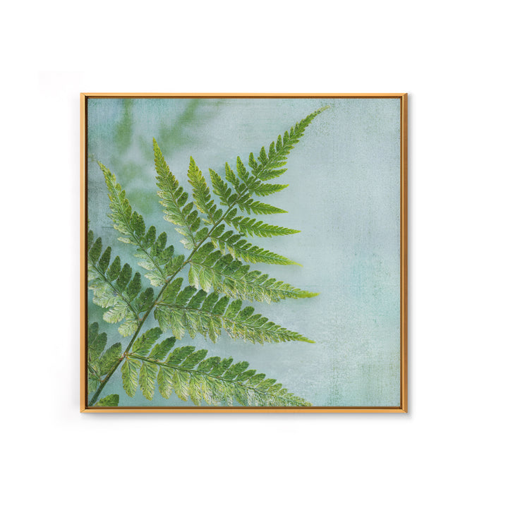 Green Fern Frond Closeup Canvas Print, Bathroom Art, Bathroom Prints, Bathroom Decor, Fine Art, Spa, Trendy Wall Art, BAT-1x1-10