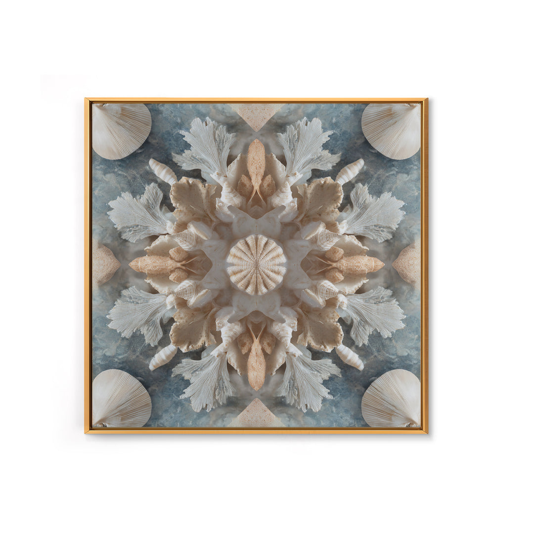 Coral and Shell Arrangement Framed Canvas Print, Bathroom Art, Bathroom Decor, Fine Art, Spa, Bathroom Accessories, Modern Art, BAT-1x1-11