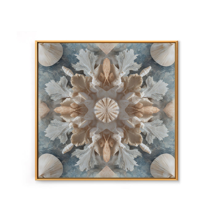 Coral and Shell Arrangement Framed Canvas Print, Bathroom Art, Bathroom Decor, Fine Art, Spa, Bathroom Accessories, Modern Art, BAT-1x1-11