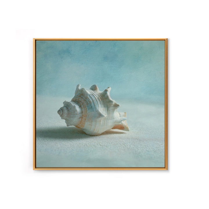 Minimal Seashell Still Life on Pale Sand Canvas Print, Bathroom Art, Custom Pet Portrait, Bathroom Decor, Abstract Art, Spa, BAT-1x1-3