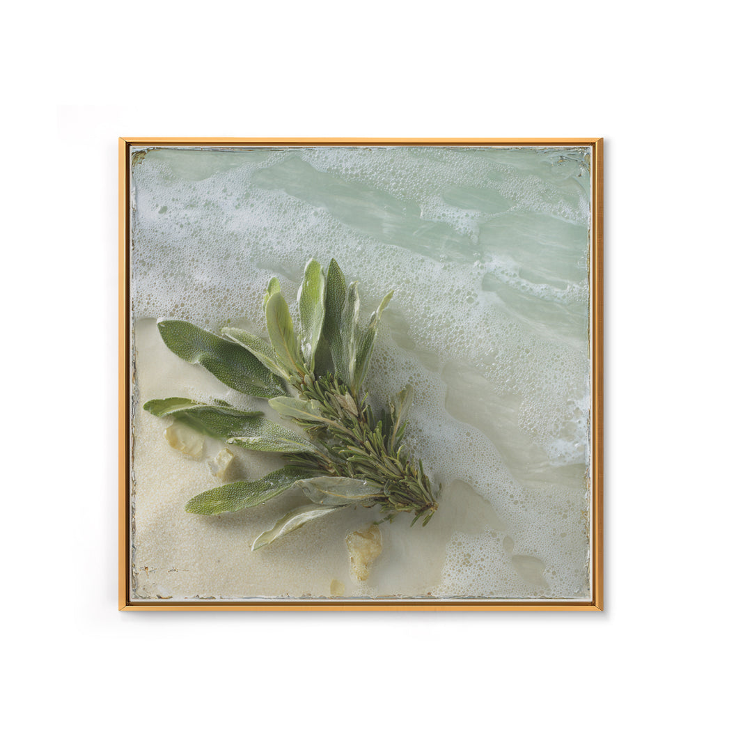 Botanical Bath Herb Arrangement Framed Canvas Print, Bathroom Art, Minimalist Wall Art, Bathroom Decor, Oil Painting, Spa, BAT-1x1-41