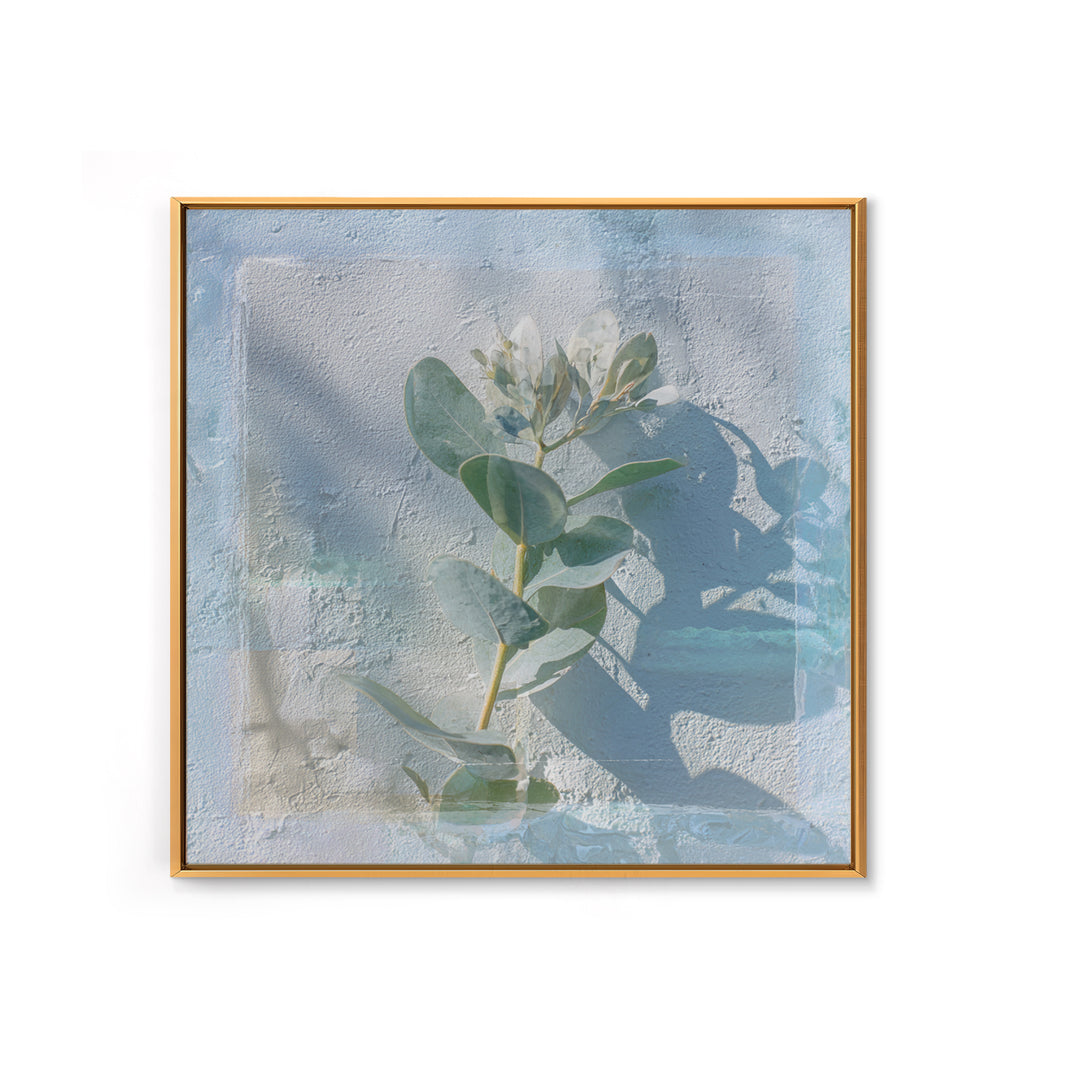 Sunlit Window Plant Shadow on Plaster Framed Canvas Print, Bathroom Art, Unique Wall Art, Bathroom Decor, Abstract Art, Spa, BAT-1x1-42