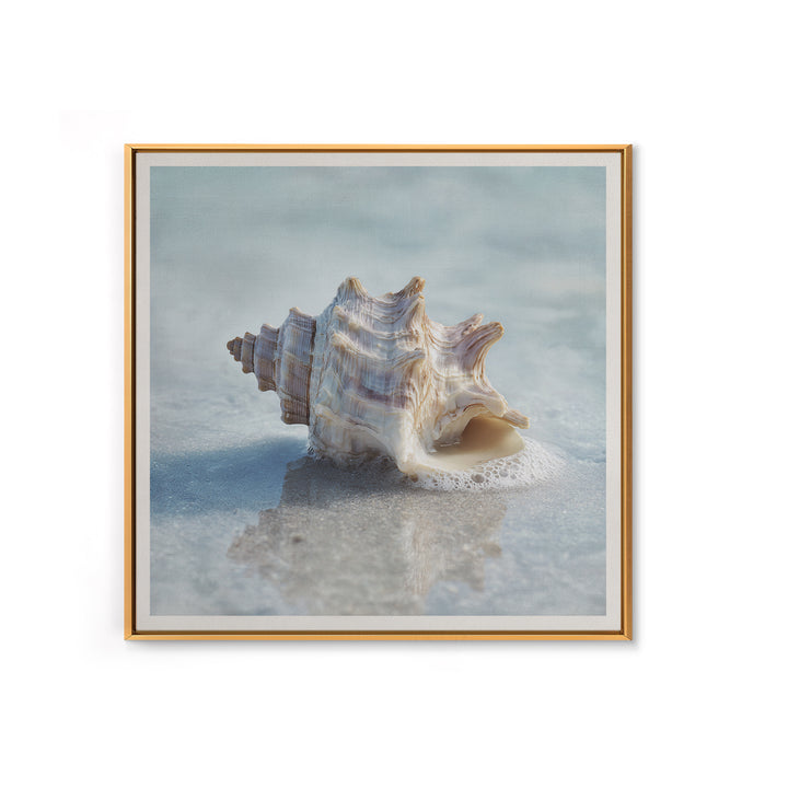 Minimal Seashell Still Life on Pale Sand Framed Canvas Print, Bathroom Art, Minimalist Wall Art, Bathroom Decor, Oil Painting, BAT-1x1-51