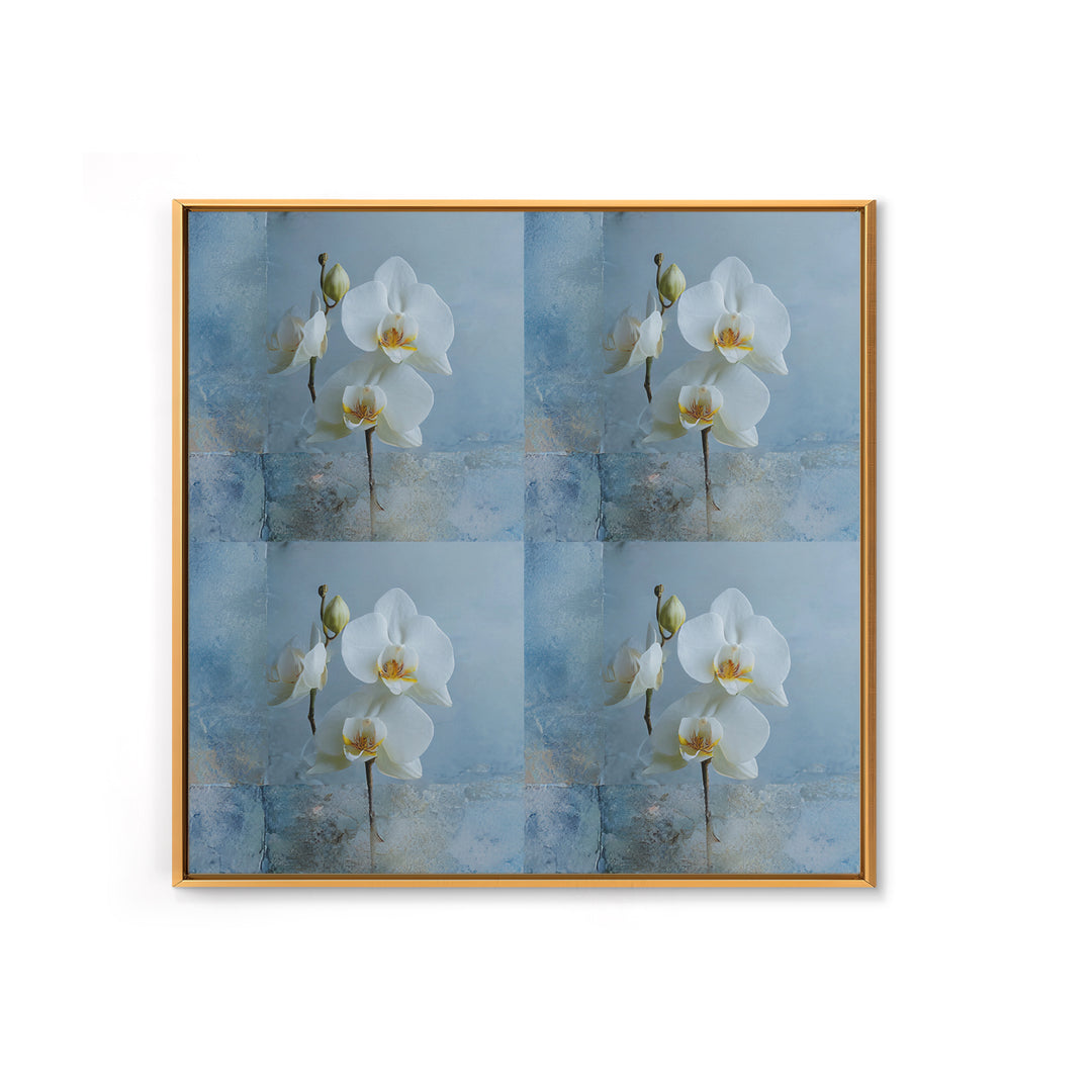 White Orchid on Warm Stone Background Framed Canvas Print, Bathroom Art, Unique Wall Art, Bathroom Decor, Fine Art, Spa, BAT-1x1-52