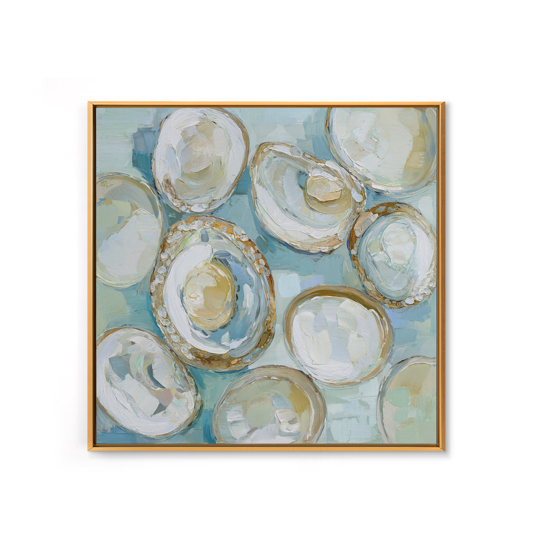 Oyster Shell Study Framed Canvas Print, Bathroom Art, Modern Wall Art, Bathroom Decor, Fine Art, Spa, Wall Decor, Neutral Decor, BAT-1x1-70