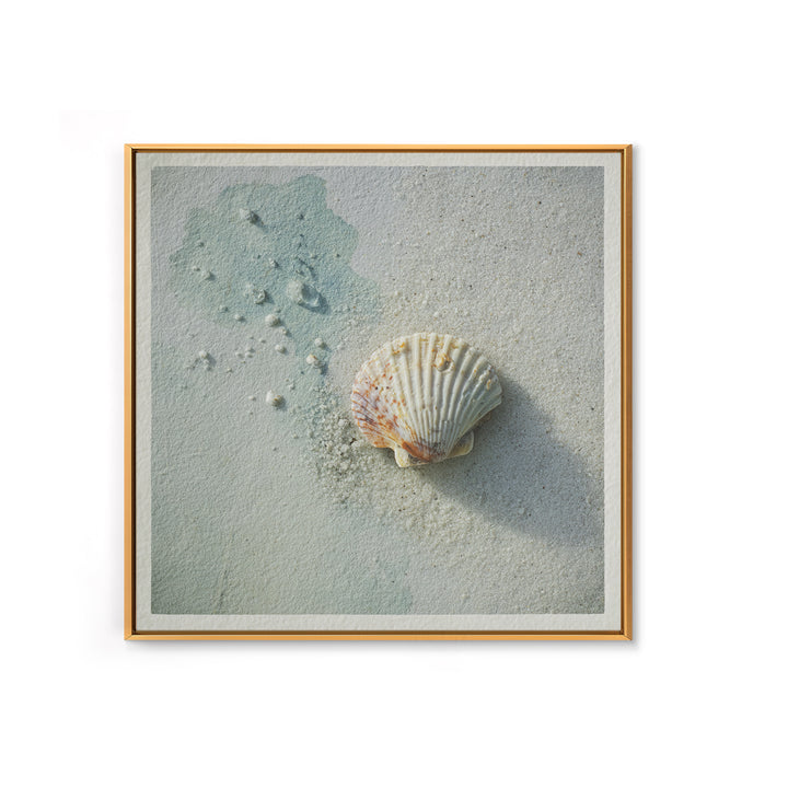 Minimal Seashell Still Life on Pale Sand Canvas Print, Bathroom Art, Gallery Decor, Bathroom Decor, Spa, Minimalist Decor, BAT-1x1-75
