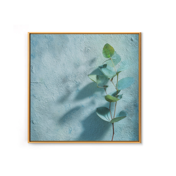 Sunlit Window Plant Shadow on Plaster Canvas Print, Bathroom Art, Bathroom Art Decor, Bathroom Decor, Fine Art, Spa, Boho Decor, BAT-1x1-90