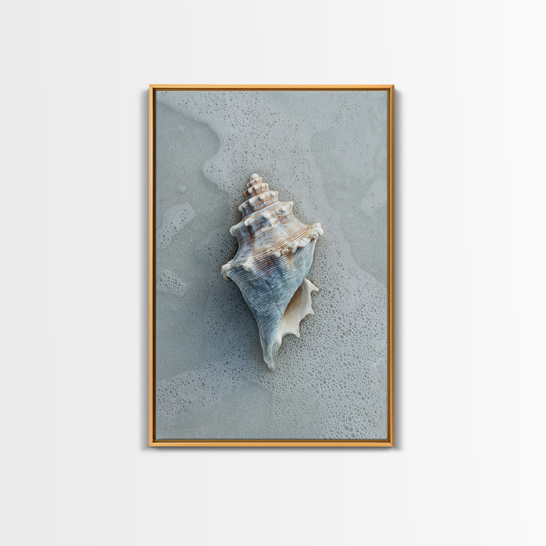 Minimal Seashell Still Life on Pale Sand Framed Canvas Print, Bathroom Art, Digital Art, Bathroom Decor, Abstract Art, Spa, BAT-2x3-83