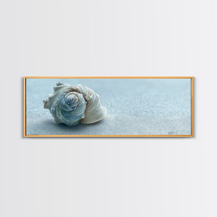 Minimal Seashell Still Life on Pale Sand Canvas Print, Bathroom Art, Bathroom Print, Bathroom Decor, Fine Art, Spa, BAT-3x1-91