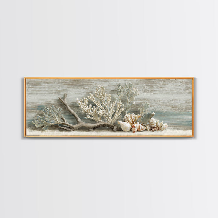 Coral and Shell Arrangement Framed Canvas Print, Bathroom Art, Wall Decor, Bathroom Decor, Fine Art, Spa, Contemporary Art, BAT-3x1-99