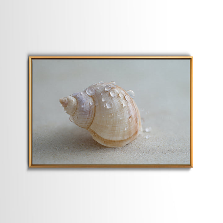 Minimal Seashell Still Life on Pale Sand Framed Canvas Print, Bathroom Art, Boho Decor, Bathroom Decor, Oil Painting, Spa, BAT-3x2-55