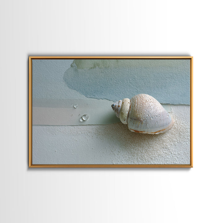 Minimal Seashell Still Life on Pale Sand Framed Canvas Print, Bathroom Art, Statement Artwork, Bathroom Decor, Abstract Art, BAT-3x2-7