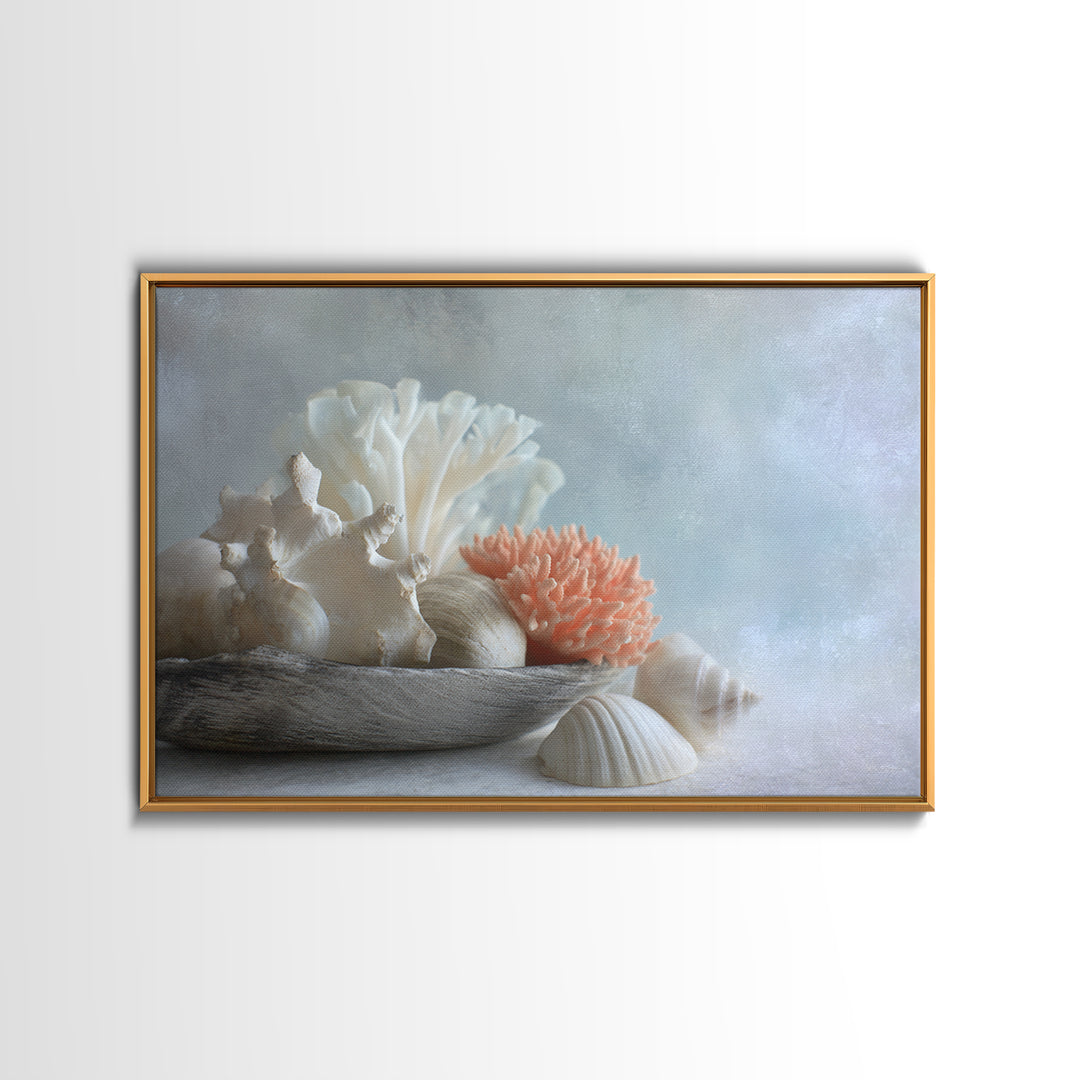 Coral and Shell Arrangement Framed Canvas Print, Bathroom Art, Bathroom Accessories, Bathroom Decor, Spa, Fine Art Print, BAT-3x2-87