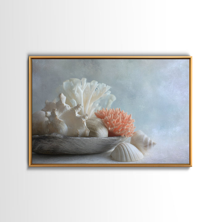 Coral and Shell Arrangement Framed Canvas Print, Bathroom Art, Bathroom Accessories, Bathroom Decor, Spa, Fine Art Print, BAT-3x2-87