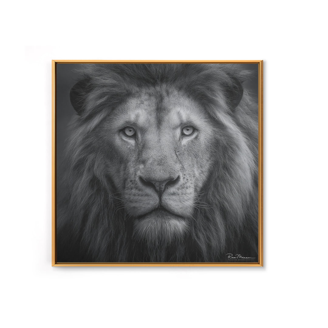 Dramatic Black and White Lion Portrait Canvas Print, Black and White Art, Gallery Decor, Living Room Decor, Monochrome, BAW-1x1-17