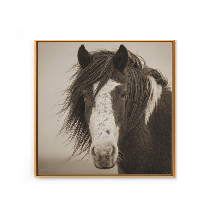 Black and White Wild Horse Portrait Framed Canvas Print, Black and White Art, Textured Painting, Living Room Decor, Monochrome, BAW-1x1-53