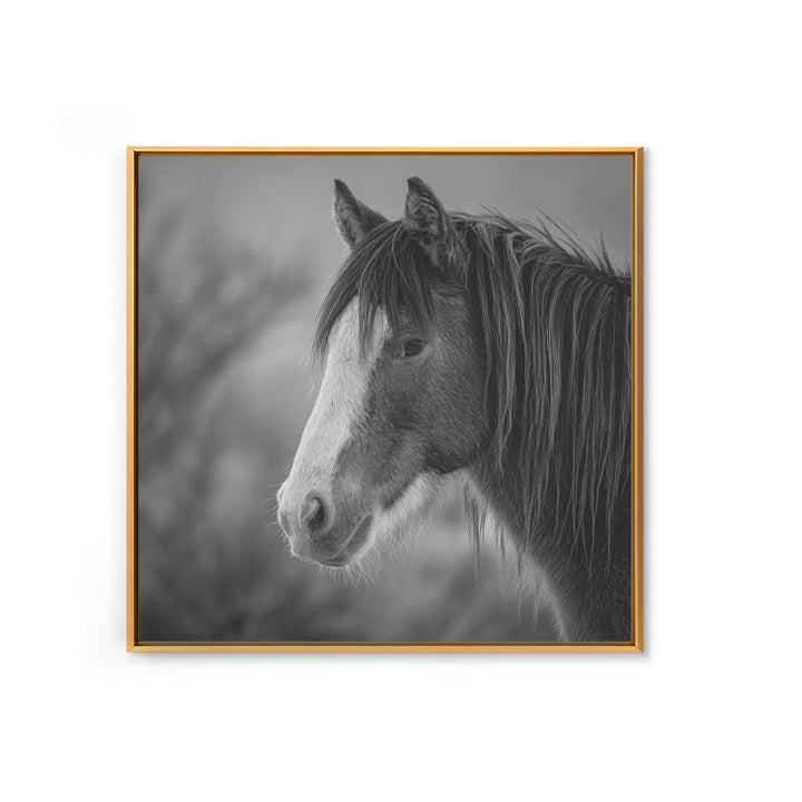 Black and White Wild Horse Portrait Canvas Print, Black and White Art, Art, Living Room Decor, Monochrome, Original Art, BAW-1x1-77