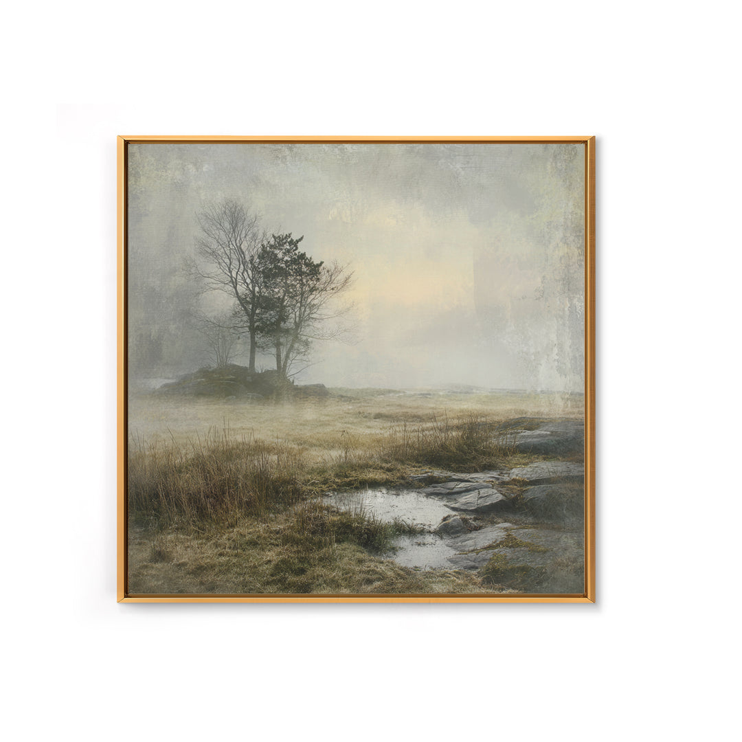Moody Foggy Forest Framed Canvas Print, Black and White Art, Boho Decor, Living Room Decor, Monochrome, Halloween Decor, BAW-1x1-79
