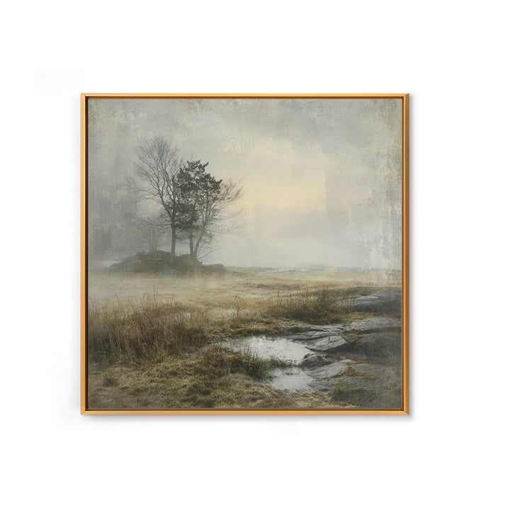 Moody Foggy Forest Framed Canvas Print, Black and White Art, Boho Decor, Living Room Decor, Monochrome, Halloween Decor, BAW-1x1-79