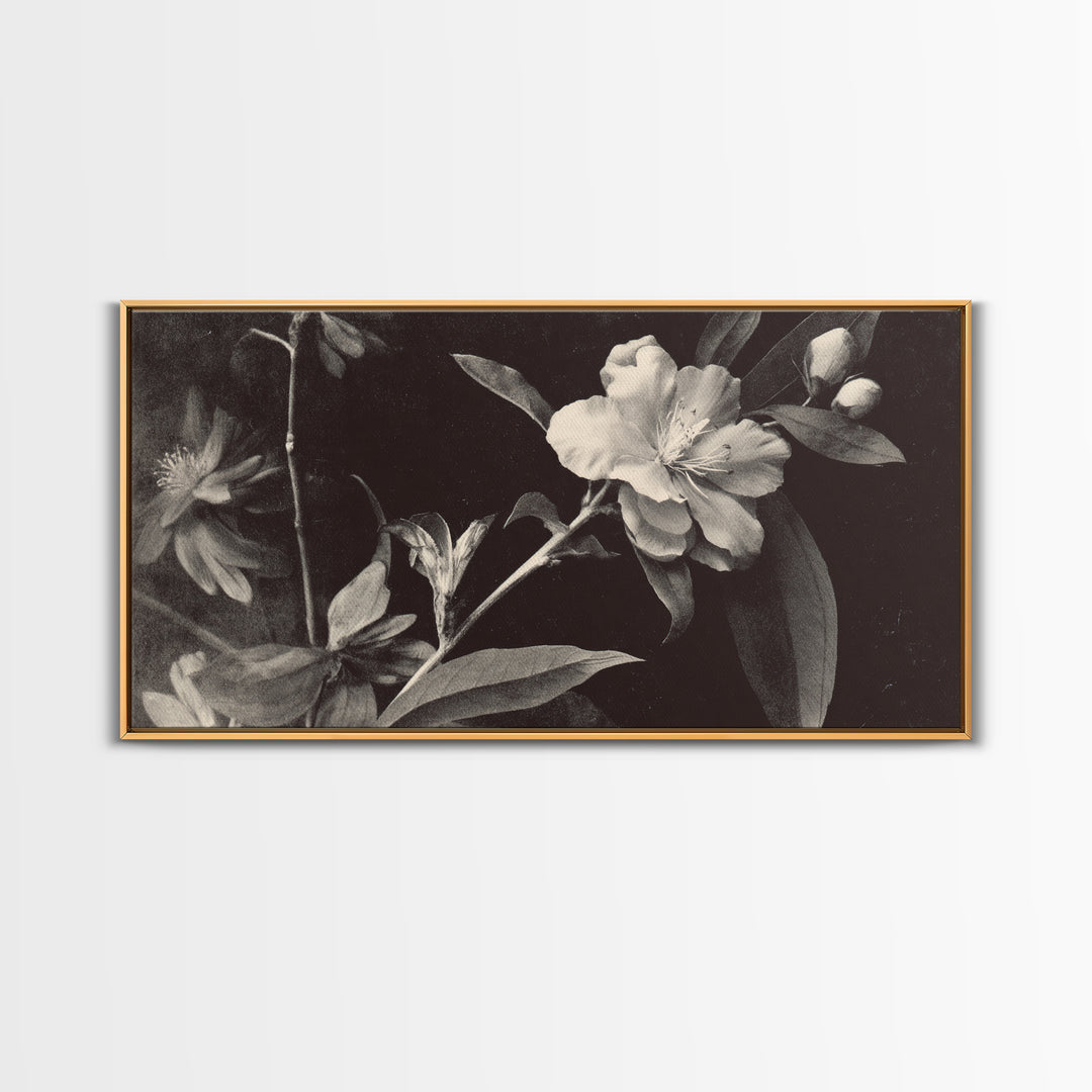 Black and White Botanical Specimen Plate Canvas Print, Black and White Art, Cabin Decor, Living Room Decor, Monochrome, BAW-2x1-19