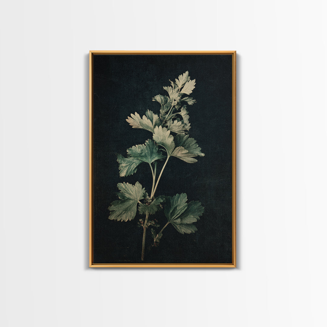 Black and White Botanical Specimen Plate Canvas Print, Black and White Art, Fine Art Print, Living Room Decor, Monochrome, BAW-2x3-7