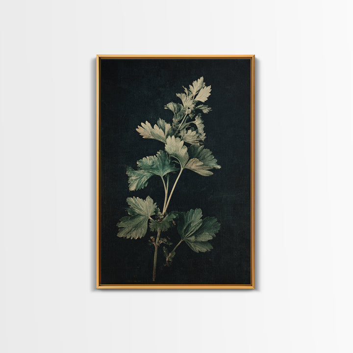 Black and White Botanical Specimen Plate Canvas Print, Black and White Art, Fine Art Print, Living Room Decor, Monochrome, BAW-2x3-7