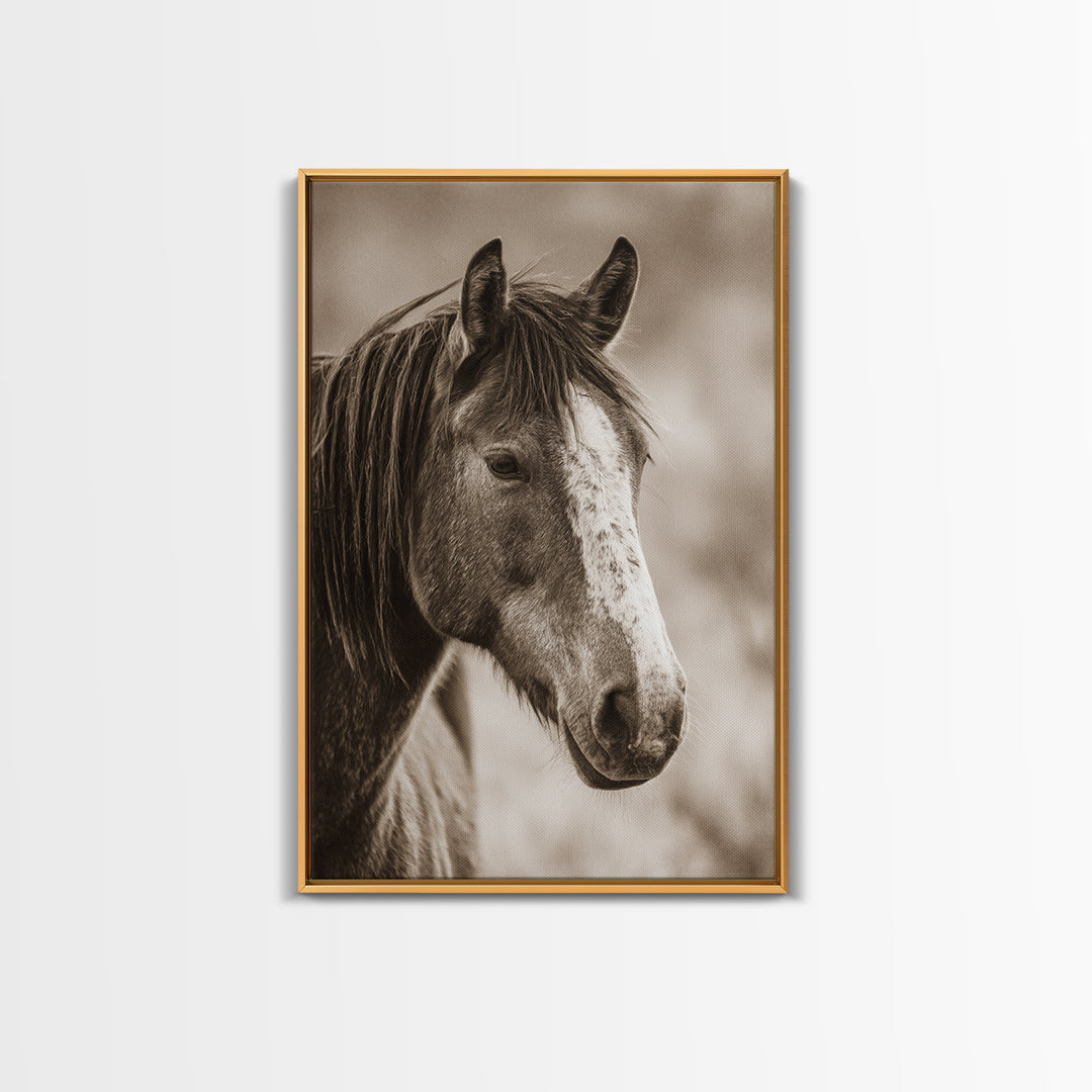 Black and White Wild Horse Portrait Framed Canvas Print, Black and White Art, Canvas Print, Living Room Decor, Monochrome, BAW-2x3-85