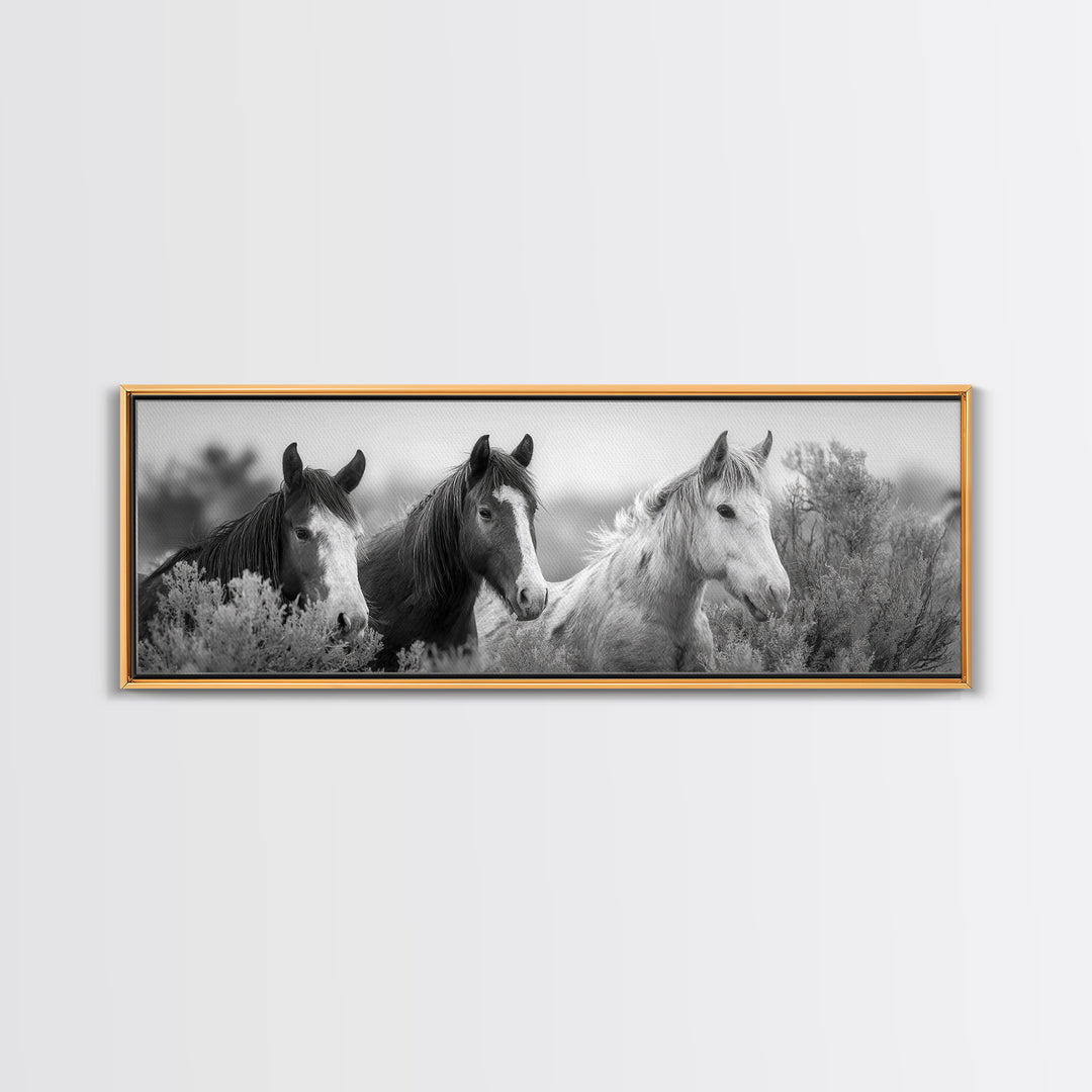Black and White Wild Horse Portrait Framed Canvas Print, Black and White Art, Gallery Decor, Living Room Decor, Monochrome, BAW-3x1-69