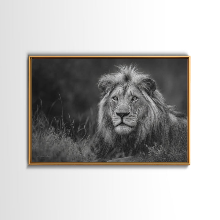 Dramatic Black and White Lion Portrait Canvas Print, Black and White Art, Photography Prints, Living Room Decor, Monochrome, BAW-3x2-21