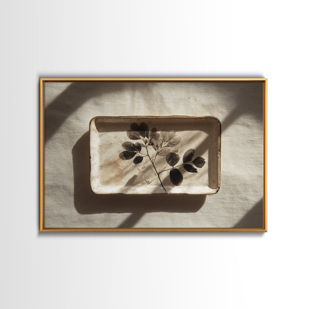 Black and White Botanical Specimen Plate Canvas Print, Black and White Art, Photography Prints, Living Room Decor, Monochrome, BAW-3x2-3