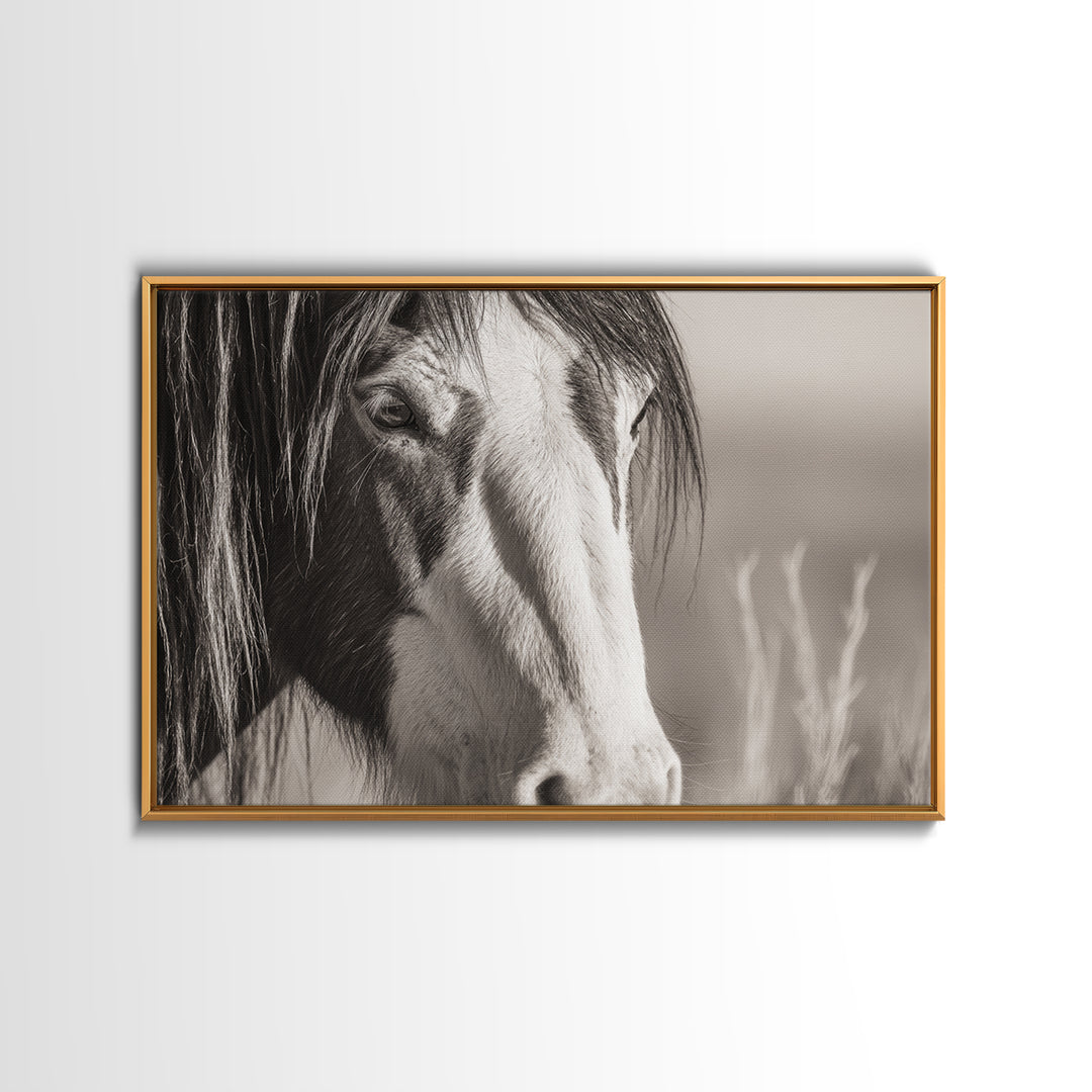 Black and White Wild Horse Portrait Canvas Print, Black and White Art, Fine Art Print, Living Room Decor, Monochrome, BAW-3x2-81