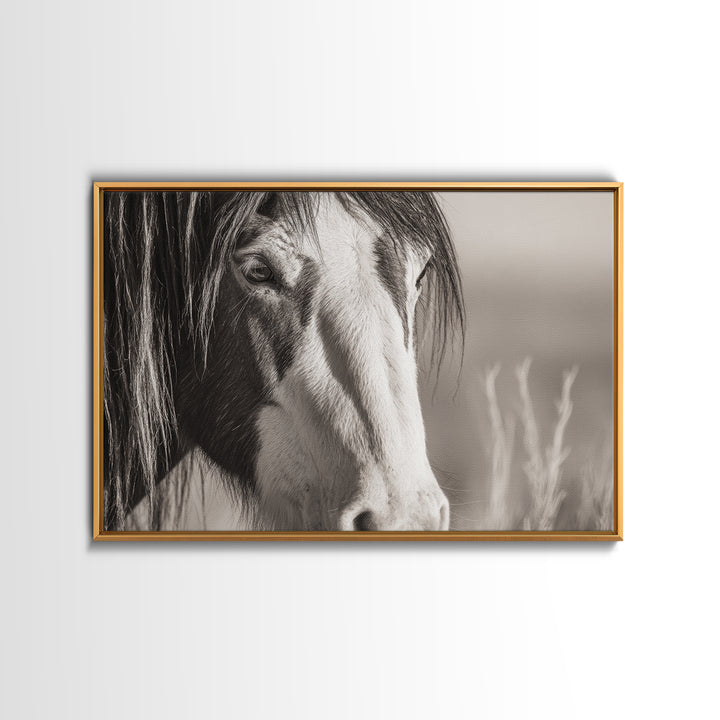 Black and White Wild Horse Portrait Canvas Print, Black and White Art, Fine Art Print, Living Room Decor, Monochrome, BAW-3x2-81