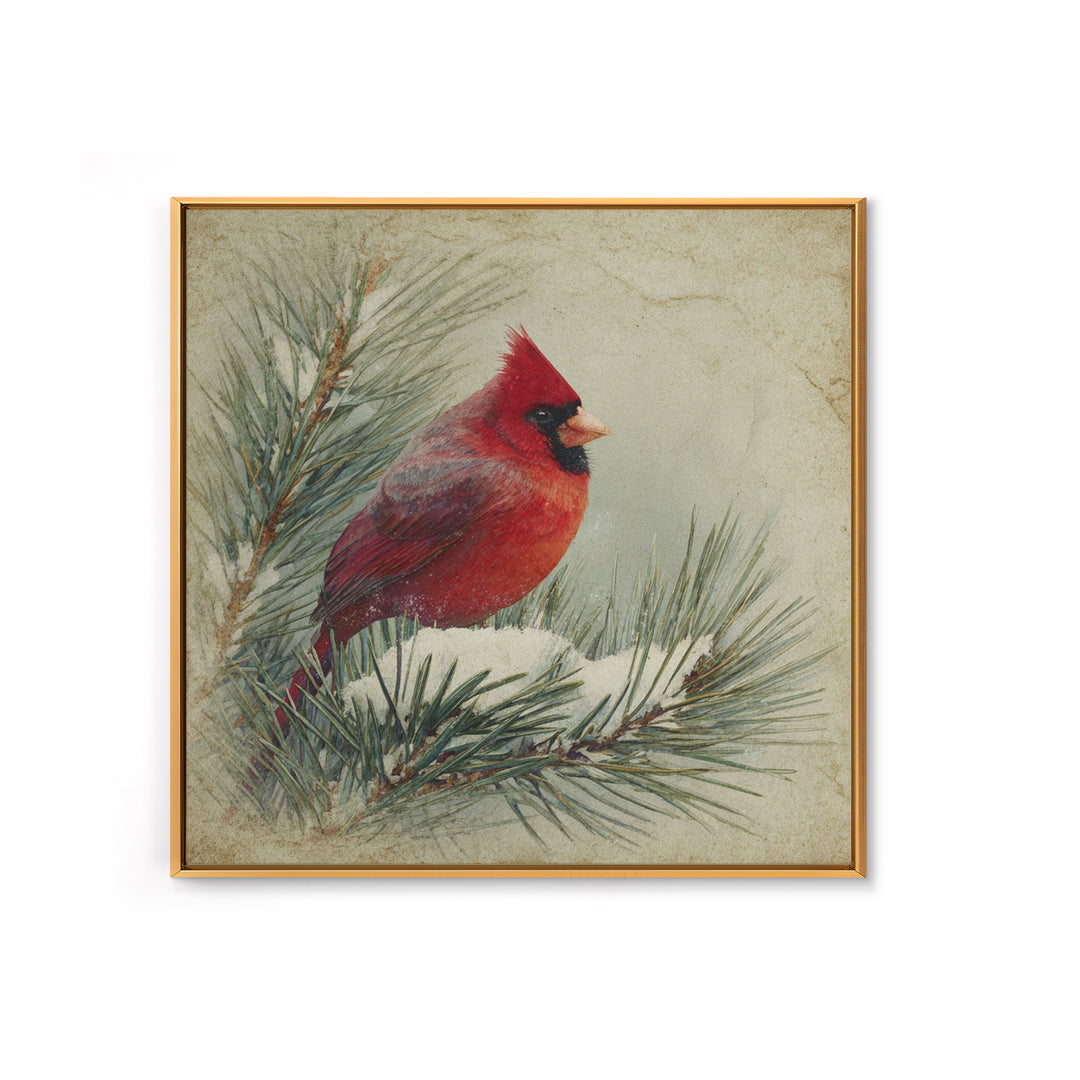 Red Cardinal on Snowy Pine Branch Framed Canvas Print, Bird Art, Nature Wall Art, Living Room Decor, Watercolor Art, Flight, BIR-1x1-1
