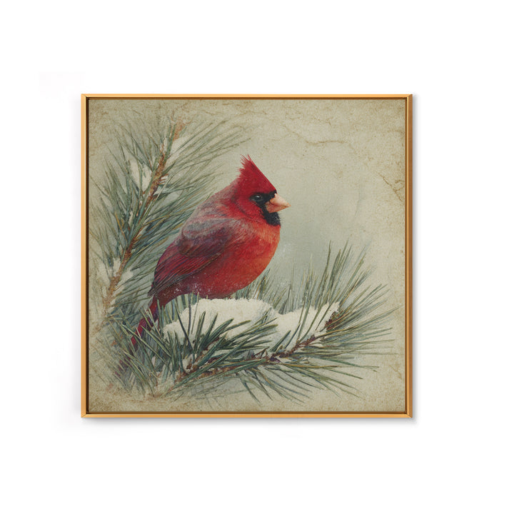Red Cardinal on Snowy Pine Branch Framed Canvas Print, Bird Art, Nature Wall Art, Living Room Decor, Watercolor Art, Flight, BIR-1x1-1